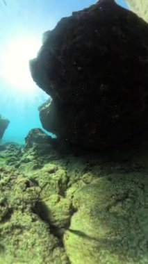 Dikey video. 360 derece dönüş. Sualtı sahnesi, güneş ışığının büyük kayaların arasından süzülüp okyanus tabanını ortaya çıkardığını gösteriyor. Küçük bir balık, deniz yaşamına alçak bir açıdan barışçıl bir bakış verir..