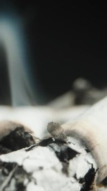 Vertical video. A discarded cigarette butt lies smoldering on a surface surrounded by ashes, while the camera moves backward, creating a dynamic effect that reveals the scene of smoking waste.