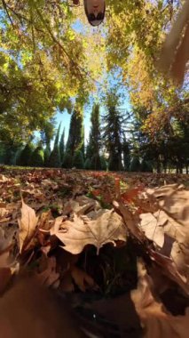 Dikey video. Düşük açılı, yavaş çekimde bir kadın kıtır kıtır sonbahar yaprakları arasında yürürken yaprakların hareket edişini, canlı enerjiyi ve düşüşün duyusal deneyimini yakalar..