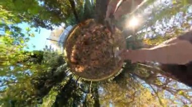 Çarpık, küresel bir manzara, bir erkek ve bir kadın birlikte yürürken, sonbahar yaprakları ve canlı yapraklarla çevrili dönen bir gezegen izlenimi verir..