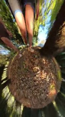 Dikey video. Yapraklardan oluşan küçük bir gezegenden bakıldığında, iki insan dairesel sonbahar manzarası etrafında yürür..