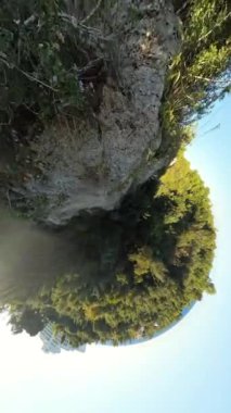 Dikey video. Yüksek ağaçlar ve açık mavi gökyüzü ile yemyeşil bitki örtüsünden oluşan küçük bir gezegen manzarası küresel bir manzara oluşturuyor. Parlak güneş ışığı sahnenin etrafına ışık saçar..