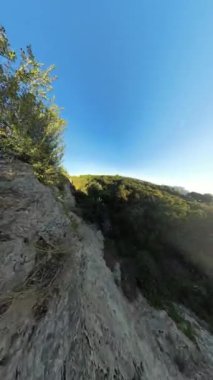 Dikey video. Bir taraftaki kayalık araziyi ve açık mavi gökyüzünün altında uzanan yoğun bir ormanı gösteren geniş bir manzara. Engebeli uçurum yemyeşil alana derinlik ve kontrastlık katıyor..