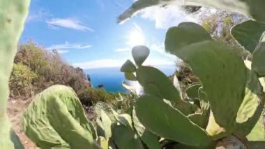 Kamera büyük kaktüs yaprakları arasında hareket ediyor. Mavi deniz ve uzak uçurumlarla kıyı manzarasını yavaş yavaş gözler önüne seriyor. Parlak güneş ışığı yaprakların arasında parlıyor.