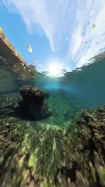 Dikey video. Güneş ışığının yüzeye aktığı sualtı görüntüsü kayalık oluşumları ve berrak suyu aydınlatarak sakin bir sualtı manzarası yaratıyor.