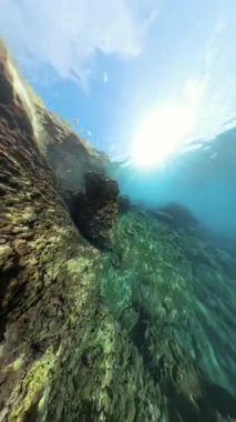 Dikey video. Panorama. Güneşli sualtı sahnesi kayalık deniz yatakları ve ışık demetleri suyu delip geçerek mistik bir sualtı ortamı yaratıyor.