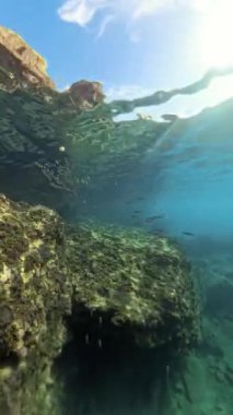 Dikey video. Arka planda kayalık oluşumlarla berrak sularda yüzen ve yumuşak güneş ışığıyla aydınlatılan bir balık sürüsünün yakın görüntüsü