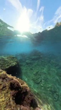 Dikey video. Su yüzeyinden süzülen güneş ışığıyla sualtı görüntüsü kayalık araziyi aydınlatıyor ve yüzeyde toplanan küçük balıklar manzaraya canlı bir hava katıyor.
