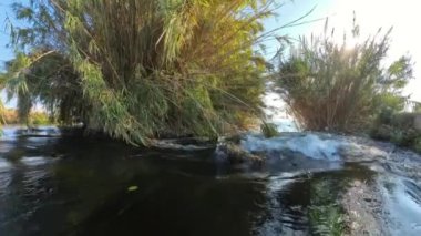 Kameranın yavaş çekim görüntüsü, kayaların üzerinden akan su ve yoğun bitki örtüsü ile birlikte, güneş ışığıyla aydınlatılan, hızlı akan bir nehir boyunca yavaşça hareket ediyor..