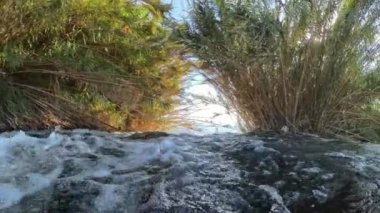 Çalkantılı bir nehrin kıyısında süzülen kamerayla yavaş çekim, karanlık kayaların üzerinden sıçramalar ve güneş ışığı altında yoğun kamışlarla çevrili su hareketlerini yakalıyor..