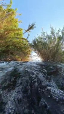 Dikey video. Çalkantılı bir nehrin kıyısında süzülen kamerayla yavaş çekim, karanlık kayaların üzerinden sıçramalar ve güneş ışığı altında yoğun kamışlarla çevrili su hareketlerini yakalıyor..