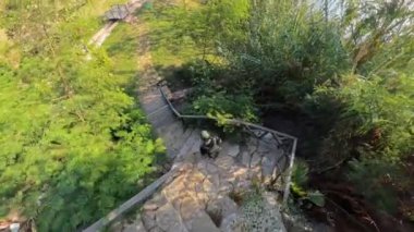 Deniz kenarındaki bir parka doğru inen taştan bir adamın genel bakış açısı. Etrafı canlı yeşilliklerle çevrili. Sahne, doğada okyanus manzaralı huzurlu bir yolculuğu çağrıştırıyor..