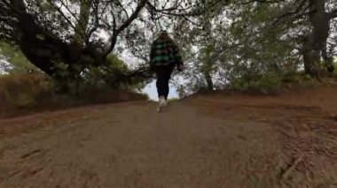 Bir kadın yüksek bir tepenin üstünde duruyor, ağaçların arasından uzak denize bakıyor. Dolly yakınlaştırma efekti onun bakış açısını ve sakin kıyı manzarasını vurgular.