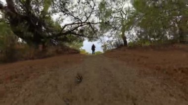 Bir kamera hızla tepenin üstünde duran bir kadına doğru zumluyor, bulutlu bir kıyı manzarasını ortaya çıkarmak için pürüzsüz bir geçiş yapıyor, dolly zoom etkisi ile güçlendiriliyor..