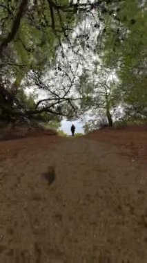 Dikey video. Bir kamera hızla tepenin üstünde duran bir kadına doğru zumluyor, bulutlu bir kıyı manzarasını ortaya çıkarmak için pürüzsüz bir geçiş yapıyor, dolly zoom etkisi ile güçlendiriliyor..