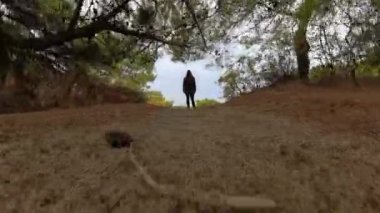 Bir kadın yeşil yapraklar ve uzak bir çam ağacı ile çevrili kumlu bir patikada duruyor. Doli zoom etkisi ufka doğru dramatik bir derinlik kayması yaratıyor..