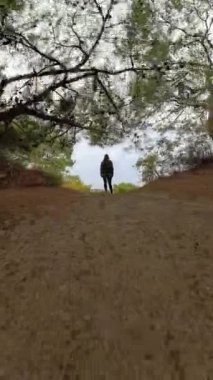 Dikey video. Bir kadın yeşil yapraklar ve uzak bir çam ağacı ile çevrili kumlu bir patikada duruyor. Doli zoom etkisi ufka doğru dramatik bir derinlik kayması yaratıyor..