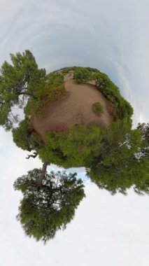 Dikey video. Küçük bir gezegen etkisi, bulutlu bir gökyüzünün altında yemyeşil çam ağaçlarıyla çevrili kumlu bir tepeyi ortaya çıkarır ve doğanın sükunetine küresel bir perspektif oluşturur..