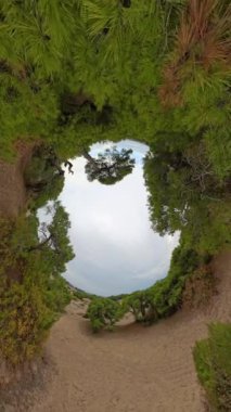 Dikey video. 360 derecelik bir açı gerçeküstü bir tünel efektine dönüşerek açık gökyüzüne doğru uzanan canlı yeşil yapraklarla çevrili kumlu bir yol yakalar..