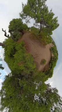 Dikey video. Ağaçlarla çevrili kumlu bir yolun 360 derecelik görüntüsü küçük bir gezegenin görüntüsünü veriyor. Bu etki küresel bir manzara yaratır ve doğal manzarayı gözler önüne serer..