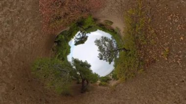 360 derecelik sürekli bir manzara, yemyeşil kumlu bir patikayı gösteriyor, çevreyi eşsiz bir şekilde saran.