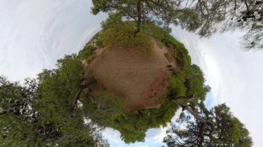 Küçük bir gezegen perspektifi, bulutlu bir gökyüzünün altında yemyeşil ağaçlarla çevrili kumlu bir patikada seyahat eden bir adam ve bir kadının sakin ve maceralı bir atmosfer yarattığını gösteriyor..