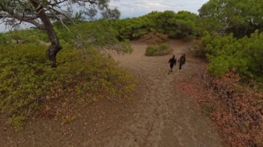 Yukarıdan bir adam ve bir kadının ağaçlarla çevrili kumlu bir patikada seyahat ettiğini gösteren bir kamera var. Bulutlu bir gökyüzünün altındaki uzak deniz manzarasının tadını çıkarmak için dururlar..