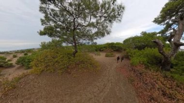 Bir adam ve bir kadın ağaçlarla çevrili kumlu bir yolda birlikte yürür, uzak denizin manzarasının tadını çıkarırlar. Açı, ormanın huzurlu atmosferini yakalıyor..