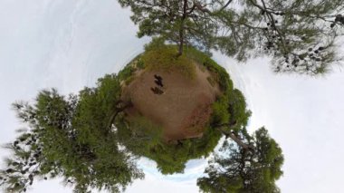 Küçük bir gezegen perspektifi, verimli yeşillikler ve sakin kumlu manzarayla çevrili, dairesel bir ormanı keşfeden bir adam ve kadını gösteriyor..