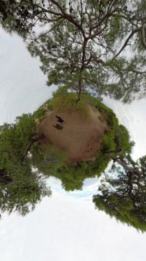 Dikey video. Küçük bir gezegen perspektifi, verimli yeşillikler ve sakin kumlu manzarayla çevrili, dairesel bir ormanı keşfeden bir adam ve kadını gösteriyor..