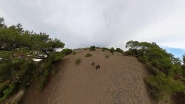 İki kişi yukarıdan yeşil alanlarla çevrili kumlu bir yolda yürürken görüldü. 360 derecelik küresel bir etkiye sahiptiler..