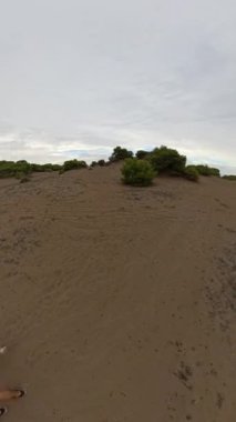 Dikey video. Kamera yüksek bir açıdan dönüyor, kumlu bir tepede birlikte yürüyen bir adam ve kadını görüntülüyor. Etrafı seyrek bitki örtüsü ve bulutlu bir gökyüzü ile çevrili..