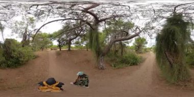 Kusursuz bir 360 derecelik küresel panorama, sakin bir orman ortamında ağaçlarla çevrili kumlu bir yolda yürüyen bir çifti gösteriyor..