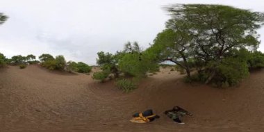 360 derecelik pürüzsüz bir VR panorama, aşağıda kumlu bir patika olan sık orman ağaçlarının gölgesinde yürüyen bir çifti yakalar ve açık havada derin ve sakin bir deneyim sunar..