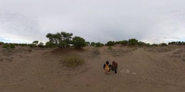 Havadan bakış açısı. 360 derecelik pürüzsüz bir sanal gerçeklik manzarası kumlu arazide yürüyen iki yolcuyu bulutlu bir gökyüzünün altında, dağınık ağaçlar ve çalılarla çevrili, sakin bir ortamda yakalar..