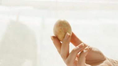 Pastel renkli bir Paskalya yumurtasını ışığa doğru tutarak, karmaşık tasarımları vurguluyor..