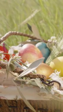 Dikey video. Renkli Paskalya Yumurtaları ve Çiçekleri ile dolu Örülmüş Bir Sepet Uzun Yeşil Çimenler Arasında.