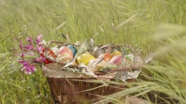 Canlı Paskalya Yumurtaları ve Taze Çiçekler Bir Sepet Uzun Çimen Tarlasında Oturuyor.