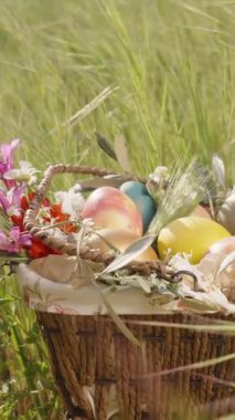 Dikey video. Canlı Paskalya Yumurtaları ve Taze Çiçekler Bir Sepet Uzun Çimen Tarlasında Oturuyor.
