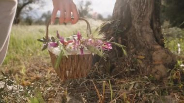 Güneşli bir günde bir kadın bir sepet Paskalya Yumurtası ve Çiçeği Bir Ağacın Altından Aldı. Yavaş çekim.