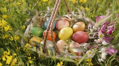 Paskalya Yumurtası ve Çiçekleri Doldurulmuş Dokuma Sepeti kısmen Uzun Çimenler ve Sarı Çiçekler arasında saklıdır. Yavaş çekim.