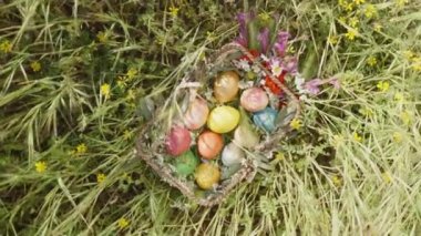 Renkli Paskalya Yumurtaları ve Çiçekleri ile dolu bir Sepet Üst Aşağı Görünümü, Uzun Çimenler 'de Dinleniyor.
