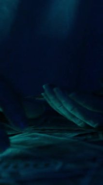 Dikey video. Eller, karamsar mavi ışıklandırma altında dağınık nakit ile kaplı bir masanın üzerinde bir yığın 100 dolarlık banknot sayıyor.