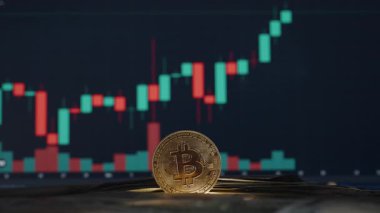 Arka planda Dolar Faturaları ve Ticaretle Odaklanan Bitcoin Parası Yükselen Mali Eğilimleri Gösteriyor