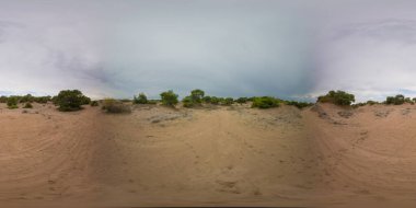 360 derecelik Panoramik Görüş Alanında Çölümsü Sandy Manzarası ve Huysuz Bir Bulutun Altında Yeşil Çalılar.
