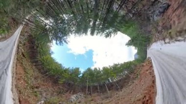 Yukarıdaki toprak yol, yüksek çam ağaçlarıyla çevrili, parlak mavi gökyüzü ile dairesel bir tepe örtüsü oluşturan ve doğal çerçeveden görülebilir beyaz bulutlar saçan bir yol. Orman Kanopi Perspektifi