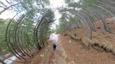 Gökyüzü manzaralı adam, yüksek, kıvrımlı çam ağaçlarıyla çevrili dik ve tozlu bir orman patikasında yokuş yukarı yürüyor, parlak, bulutlu bir gökyüzü altında. Kararlı Kış Yükselişi