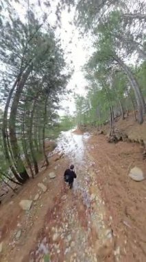 Dikey video. Gökyüzü manzaralı adam, yüksek, kıvrımlı çam ağaçlarıyla çevrili dik ve tozlu bir orman patikasında yokuş yukarı yürüyor, parlak, bulutlu bir gökyüzü altında. Kararlı Kış Yükselişi