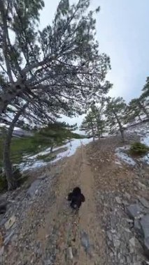 Dikey video. Uzun çam ağaçları ve bulutlu bir gökyüzü altında kayalık araziyle kaplı engebeli, tozlu bir dağ yolunda yürüyen bir adamın havadan görünüşü. Senaryo Kış Yürüyüşü
