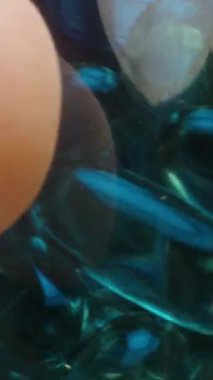 Dikey video. Şeffaf Jelatin Kapsüllerle Dolu Mavi Şişe Tutma Koyu Renkleri ve Yumuşak Doku Eklentilerini Vurguluyor